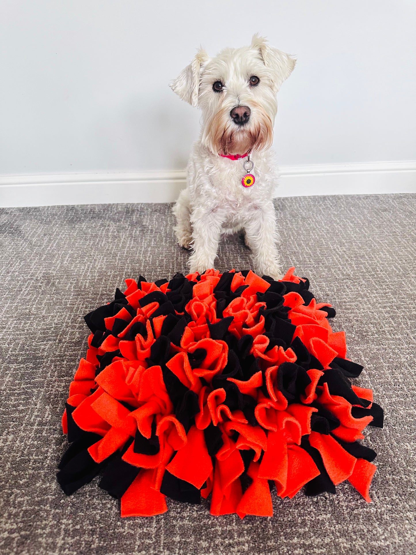 Schnauzerfest Snuffle Mat, Available in 3 sizes  (15% of this order will be donated to the Schnauzerfest charity)