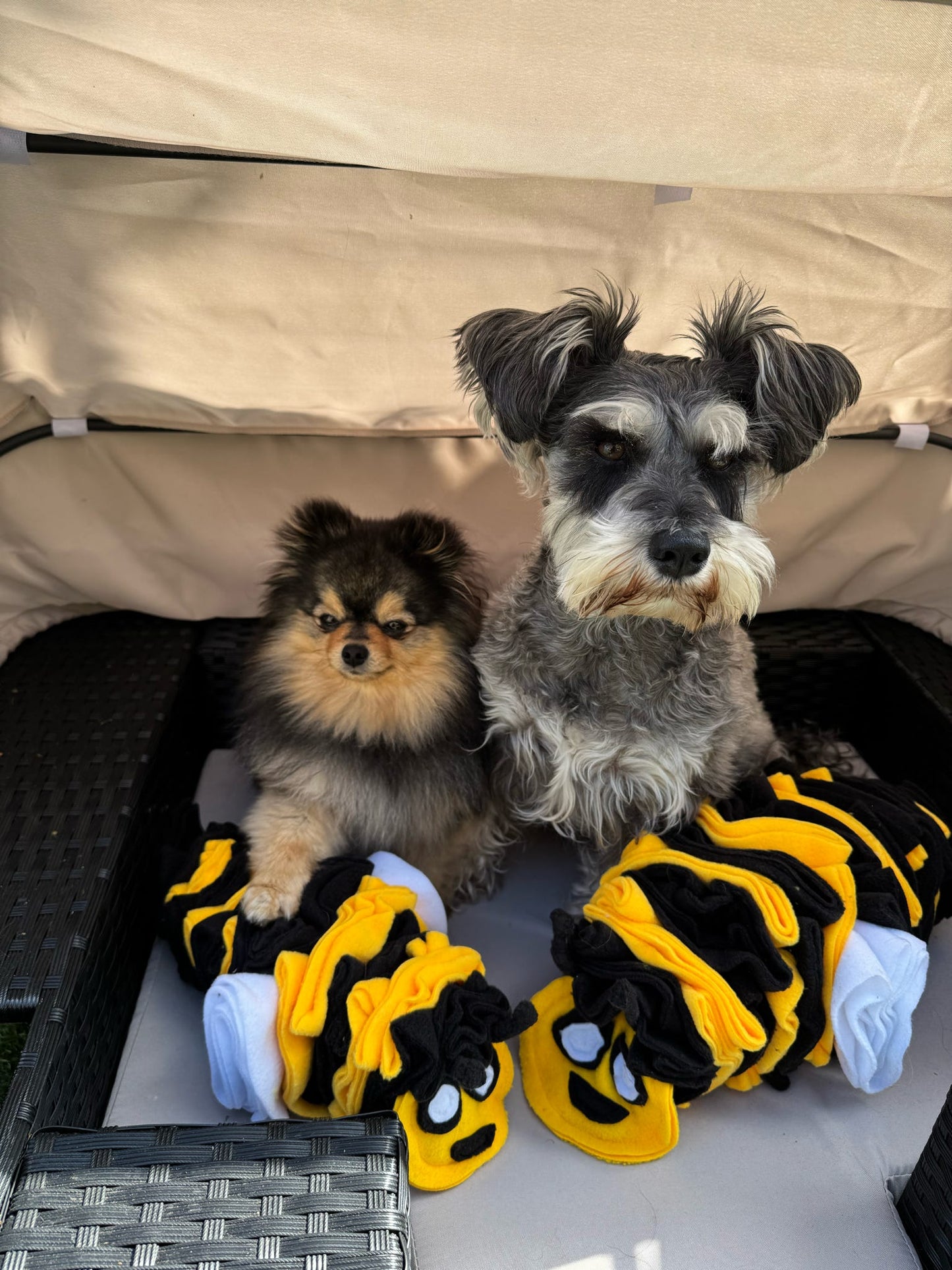 Bumble Buzzle Available In 2 Sizes (Free Postage)