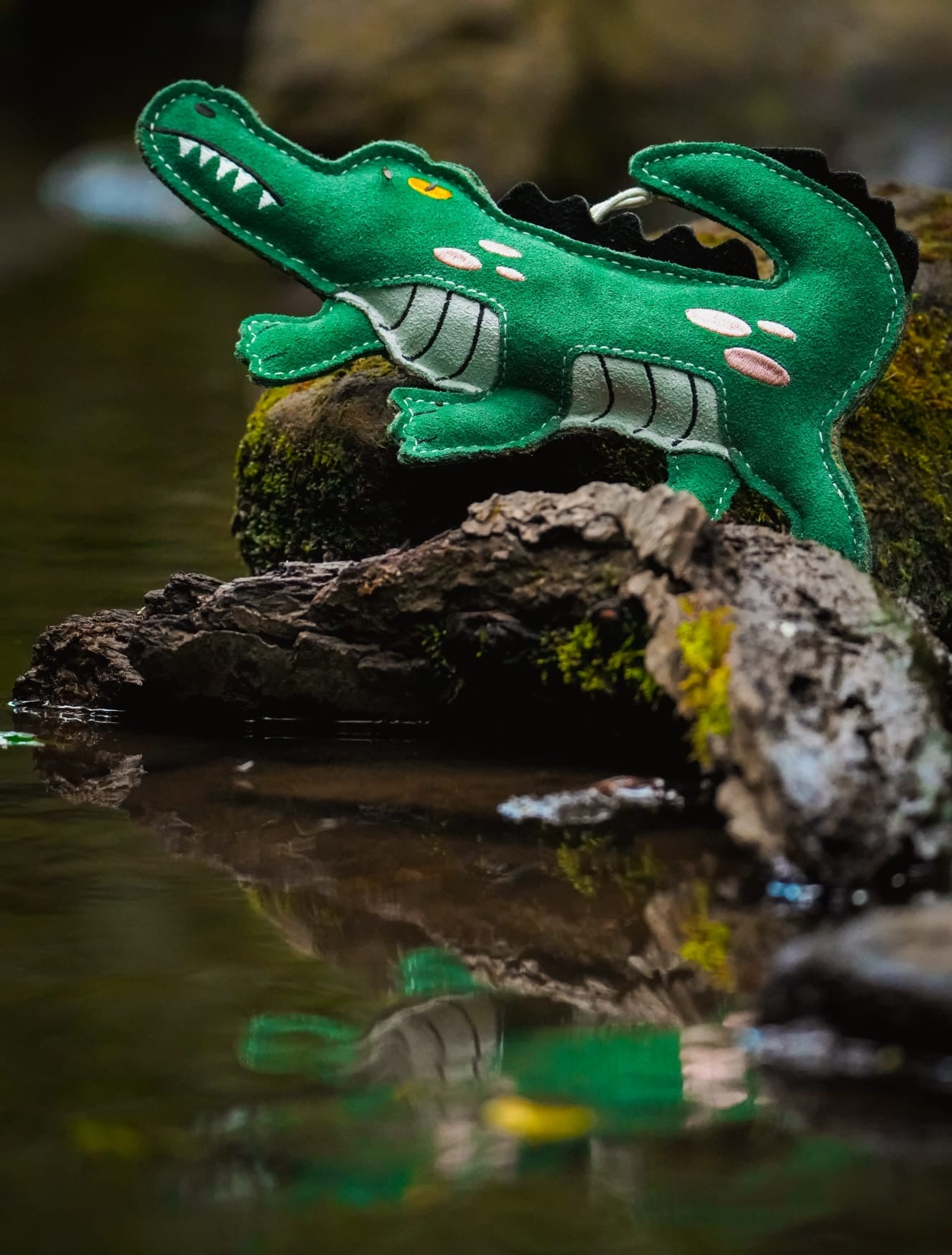 Clive The Crocodile