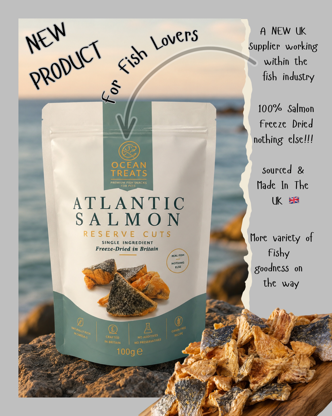 Freeze Dried Atlantic Salmon