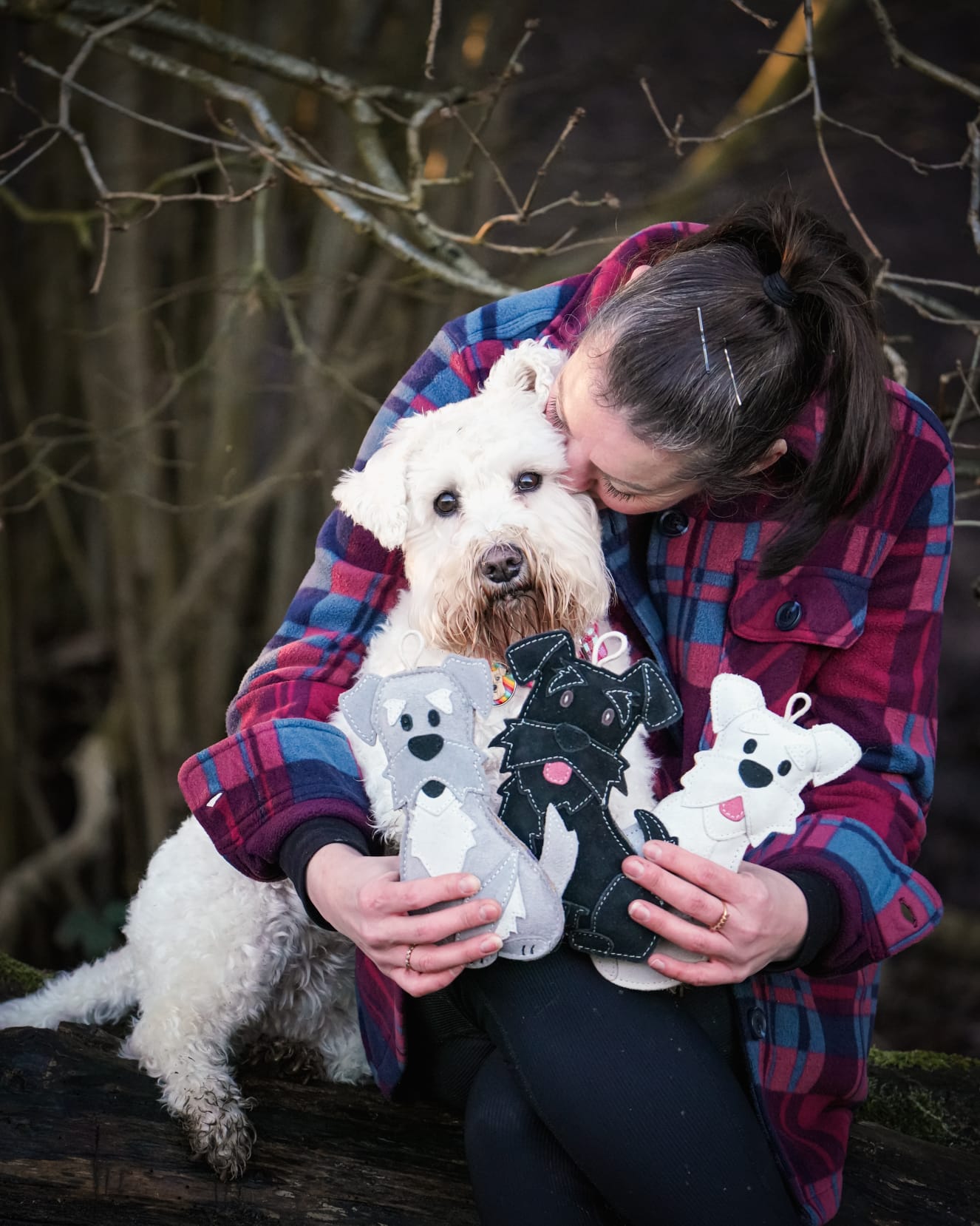 The Schnauzer Collection