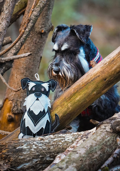 The Schnauzer Collection