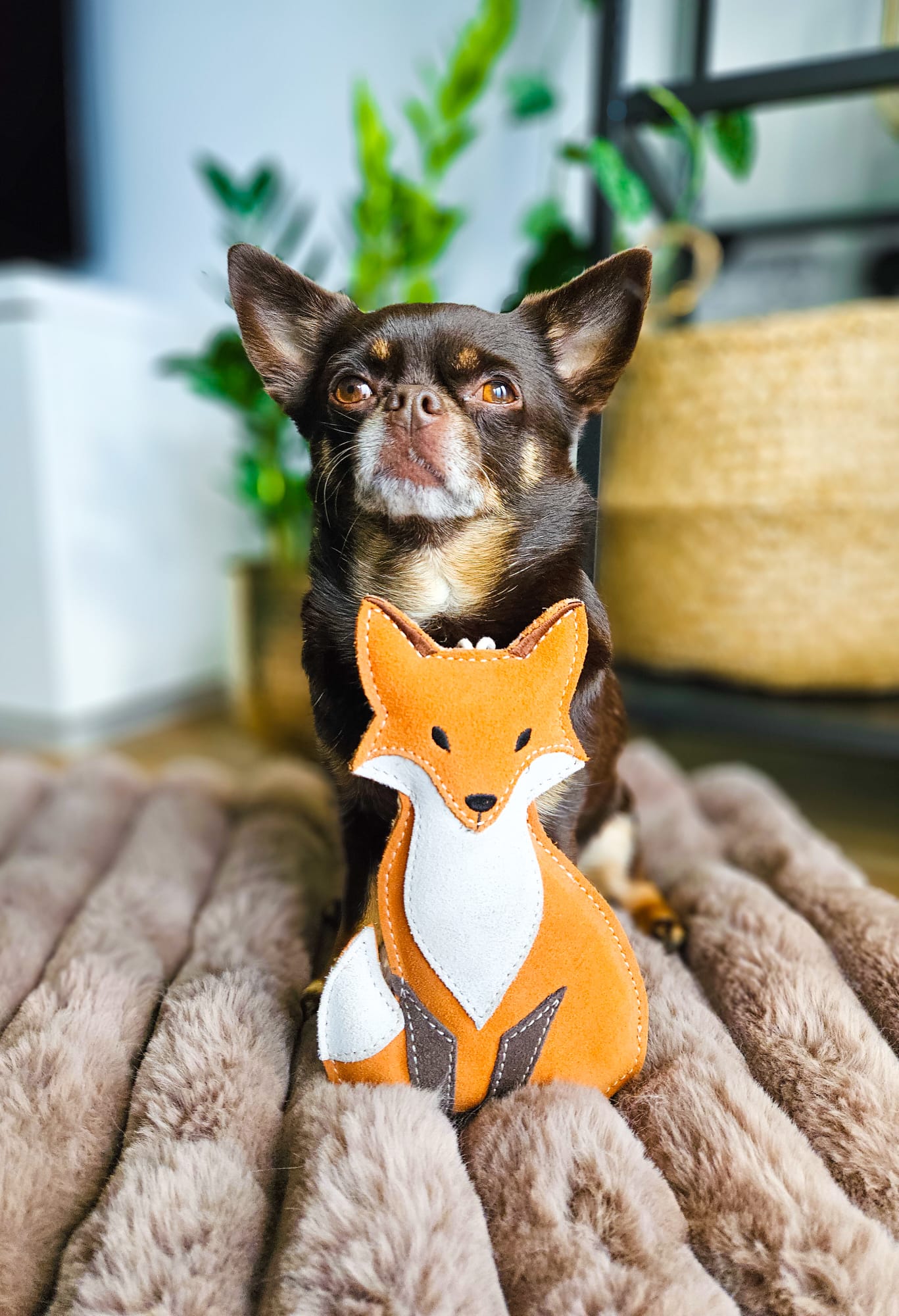 Juniper The Fox (Cat Nip Infused)