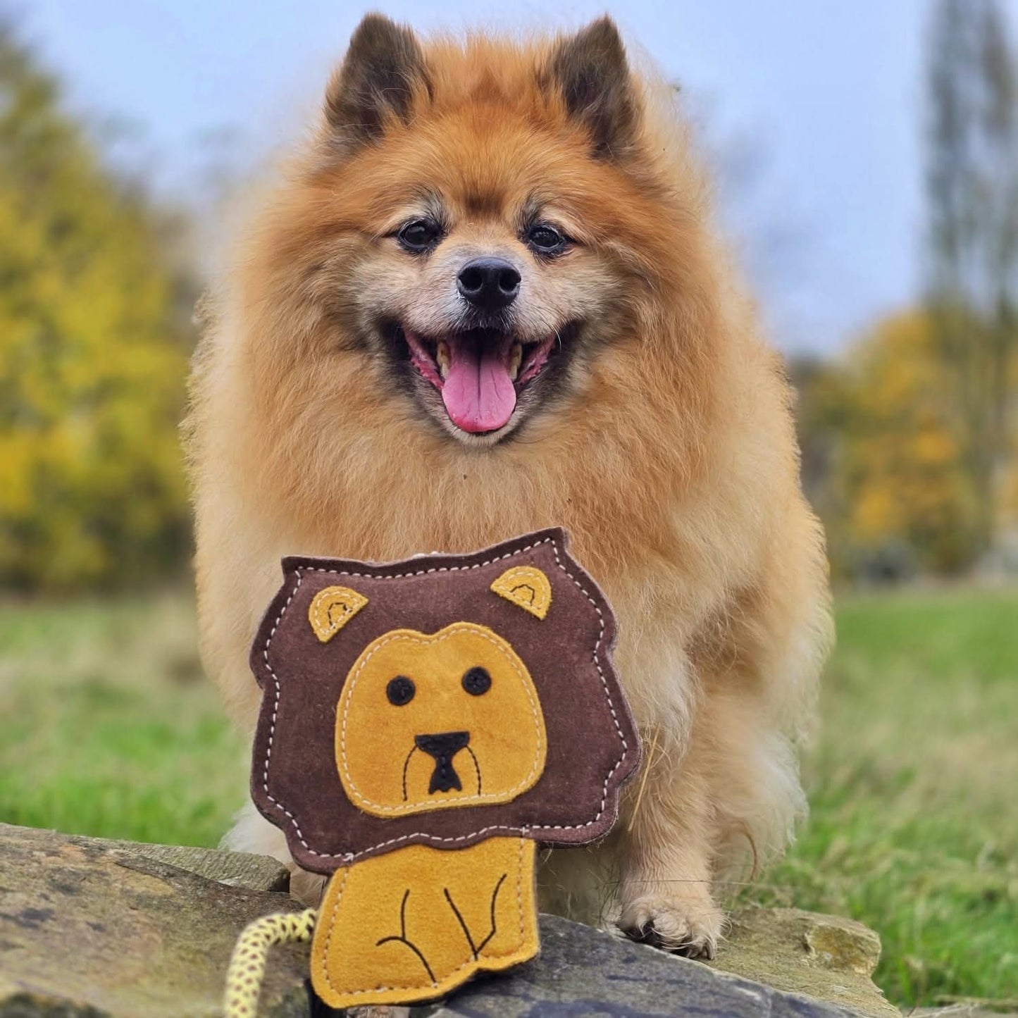 Howard The Lion (Free Postage)