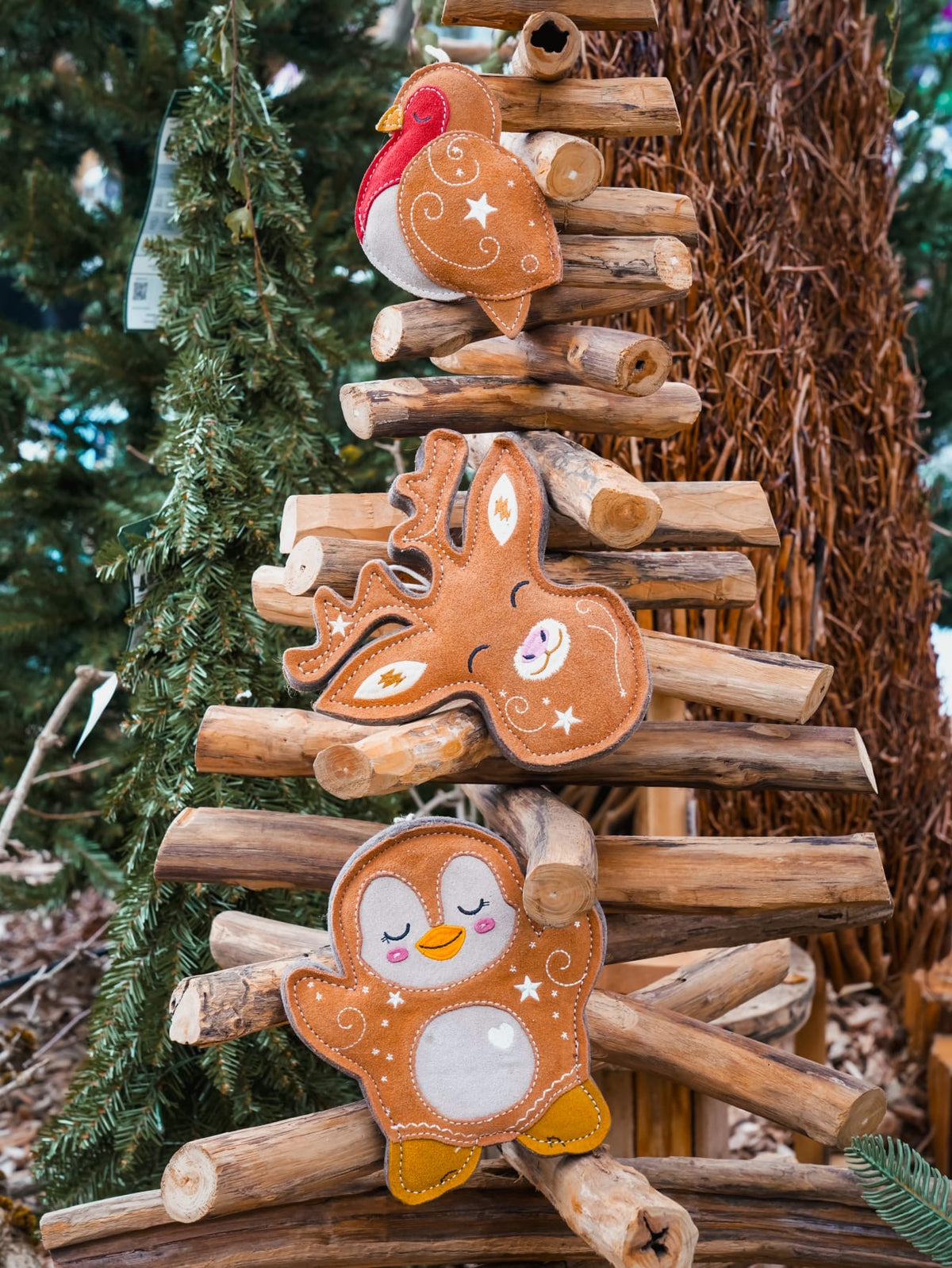 Cinnamon The Christmas Robin
