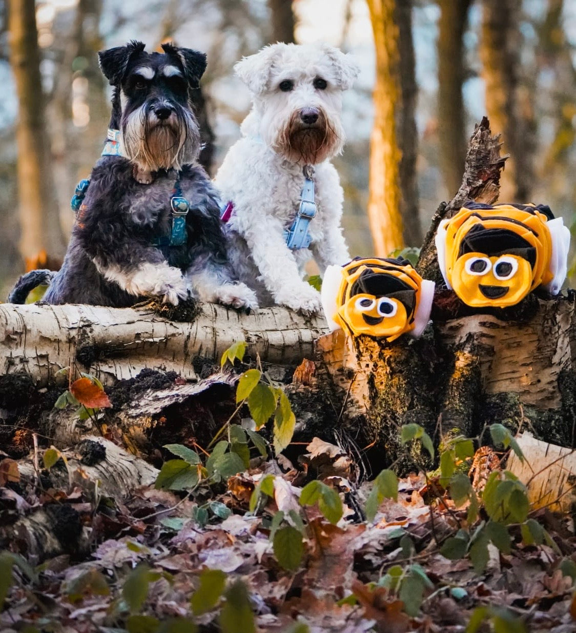 Bumble Buzzle Available In 2 Sizes