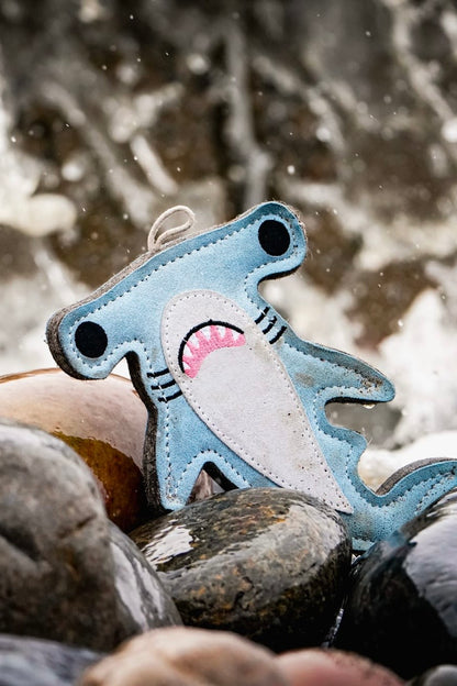 M.C The Hammerhead Shark