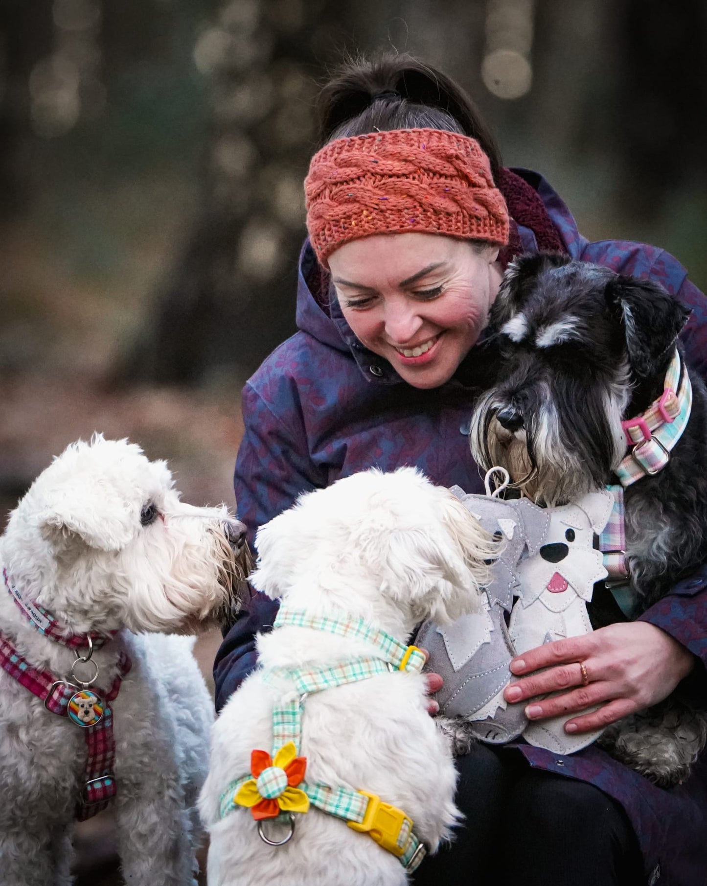 The Schnauzer Collection