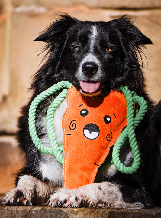 Copper The XL Carrot (Free Postage)