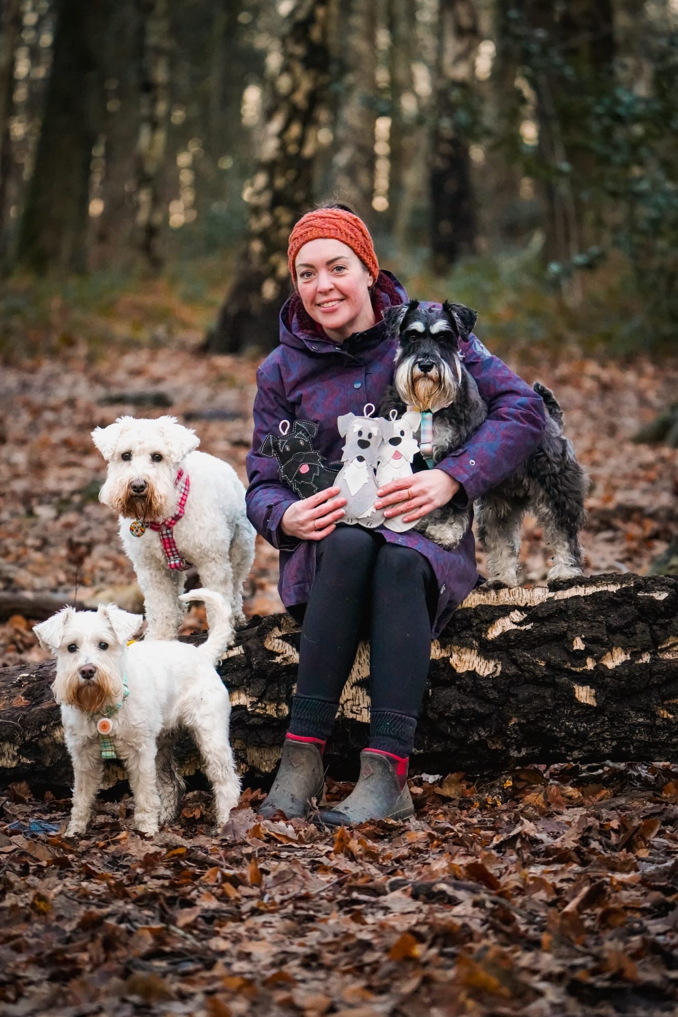 The Schnauzer Collection