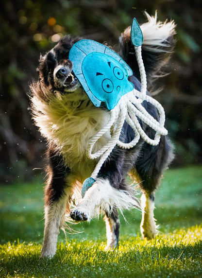 Dave The XL Jellyfish