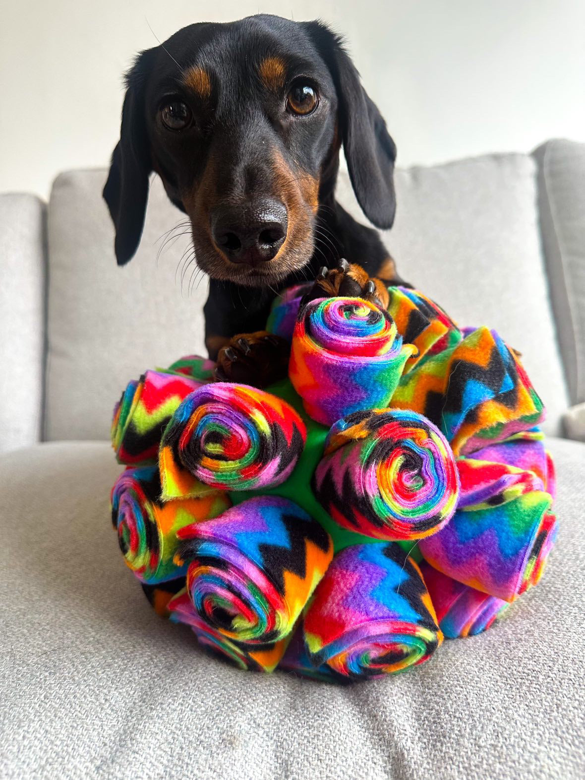 Medium Snuffle Ball - Multicoloured Paws – CanineCraftsUK