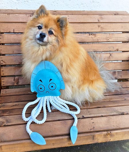 Dave The XL Jellyfish (Free Postage)