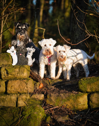 The Schnauzer Collection