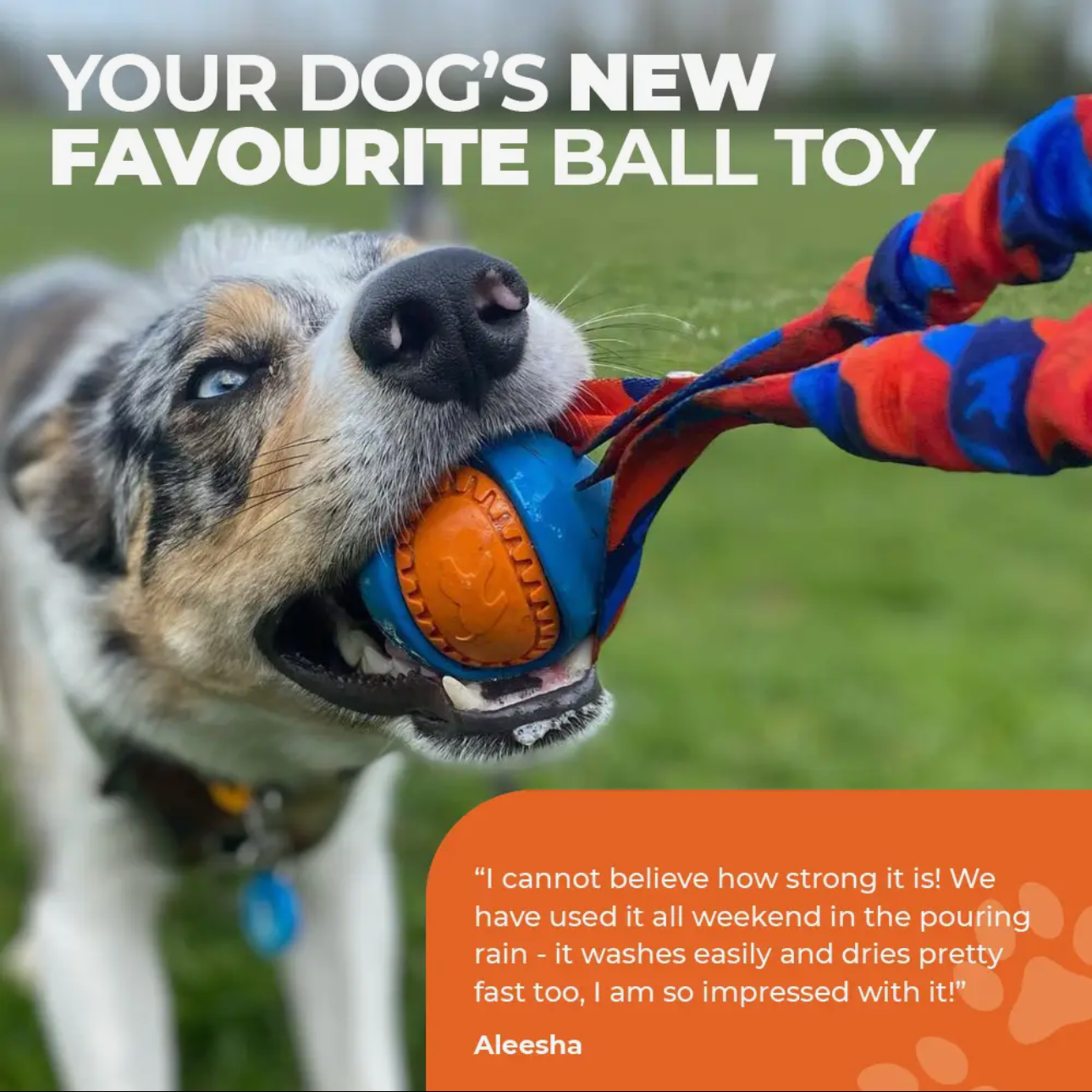 Pocket Size Power Ball Bungee, Tug-E-Nuff Range