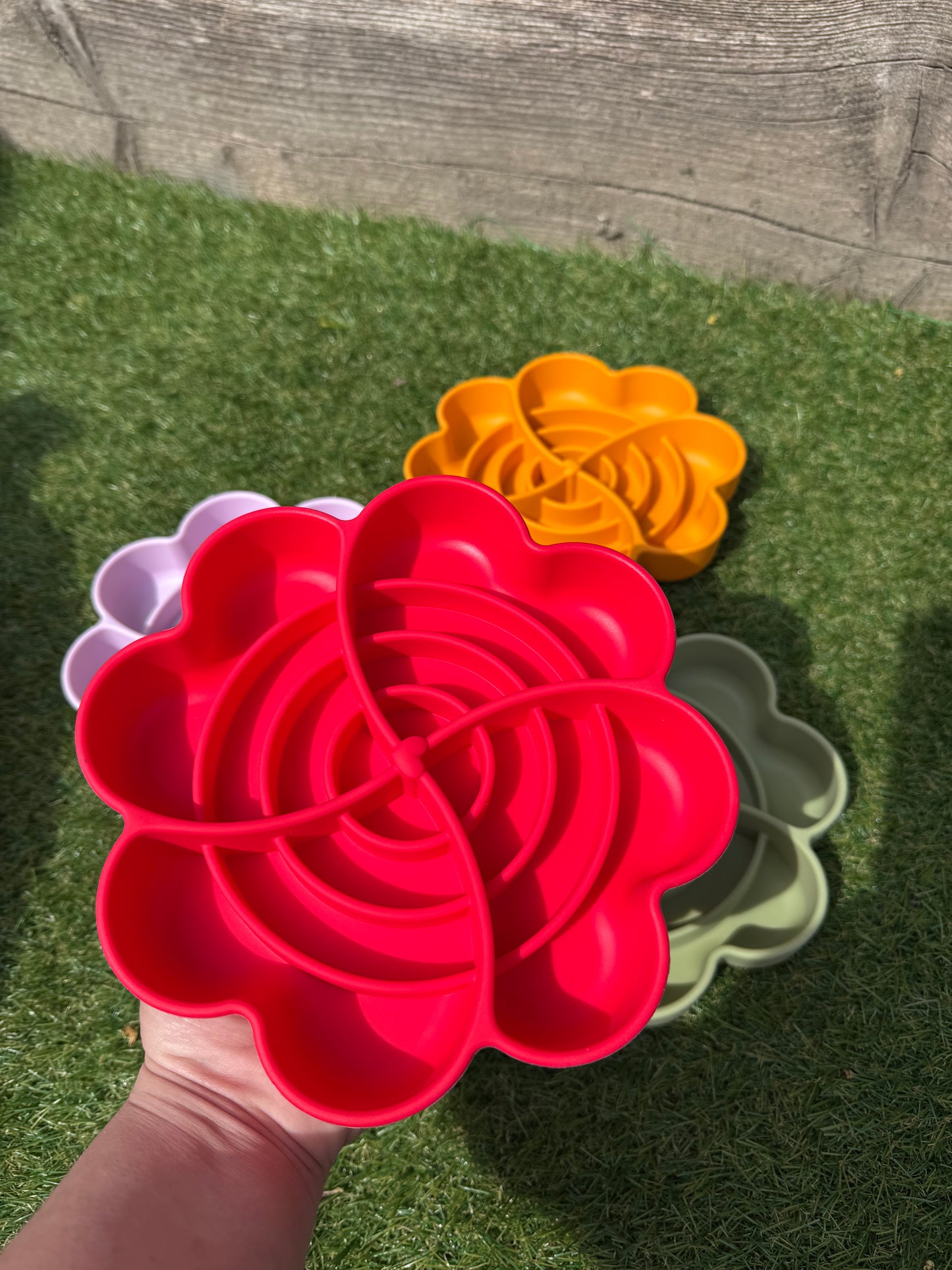 Spiral Bloom Enrichment Bowl (Free Postage)