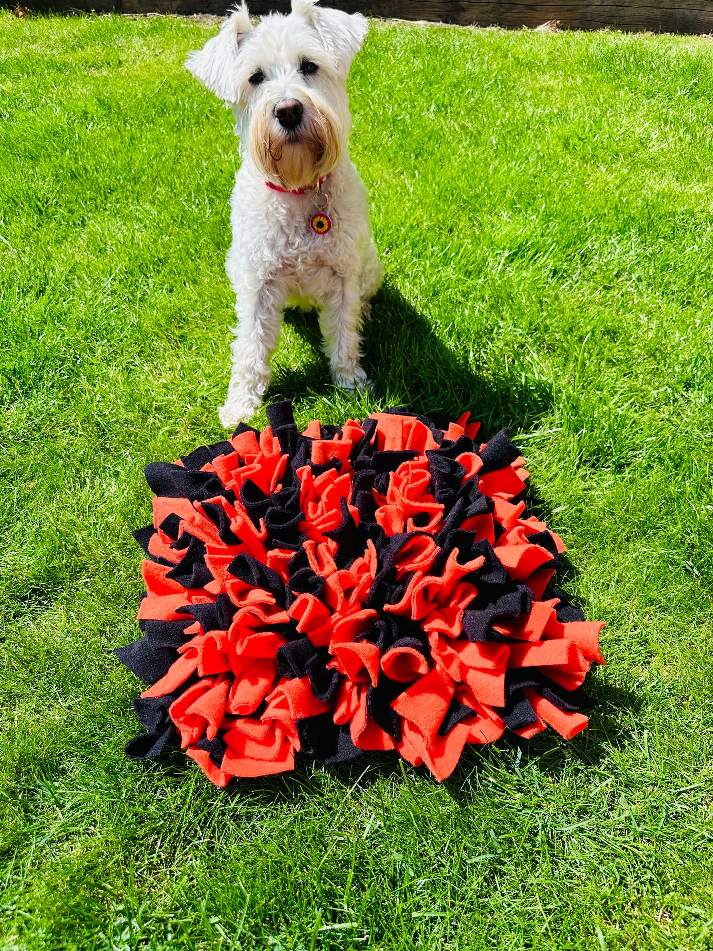 Schnauzerfest Snuffle Mat, Available in 3 sizes  (15% of this order will be donated to the Schnauzerfest charity)