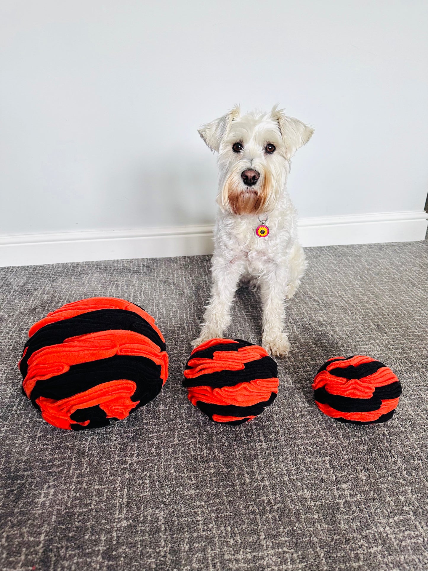 Schnauzerfest  Snuffle Ball available in 3 sizes (15% of this order will be donated to the Schnauzerfest charity)