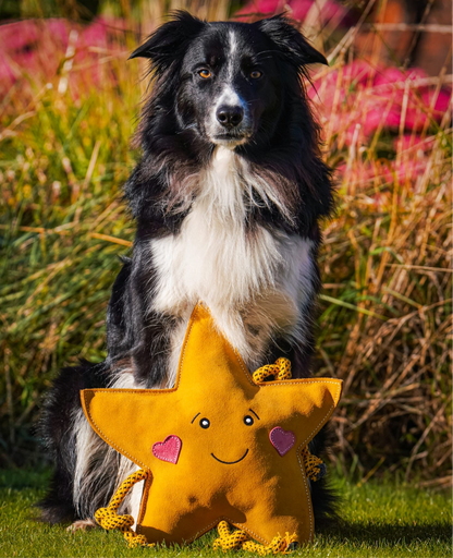 Aurora The XL Star (Free Postage)