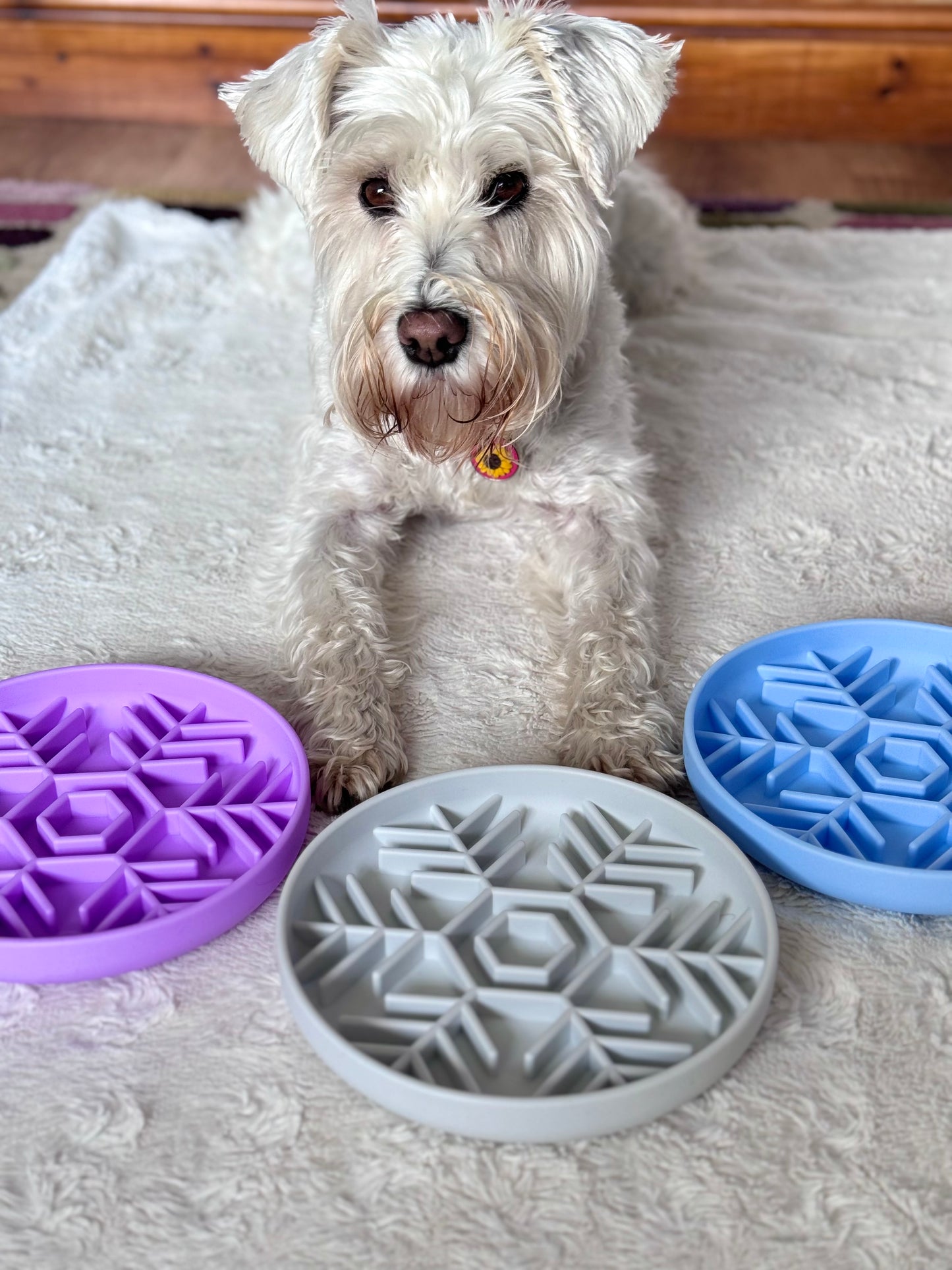 Christmas Snowflake Enrichment Bowl ( Free Postage)