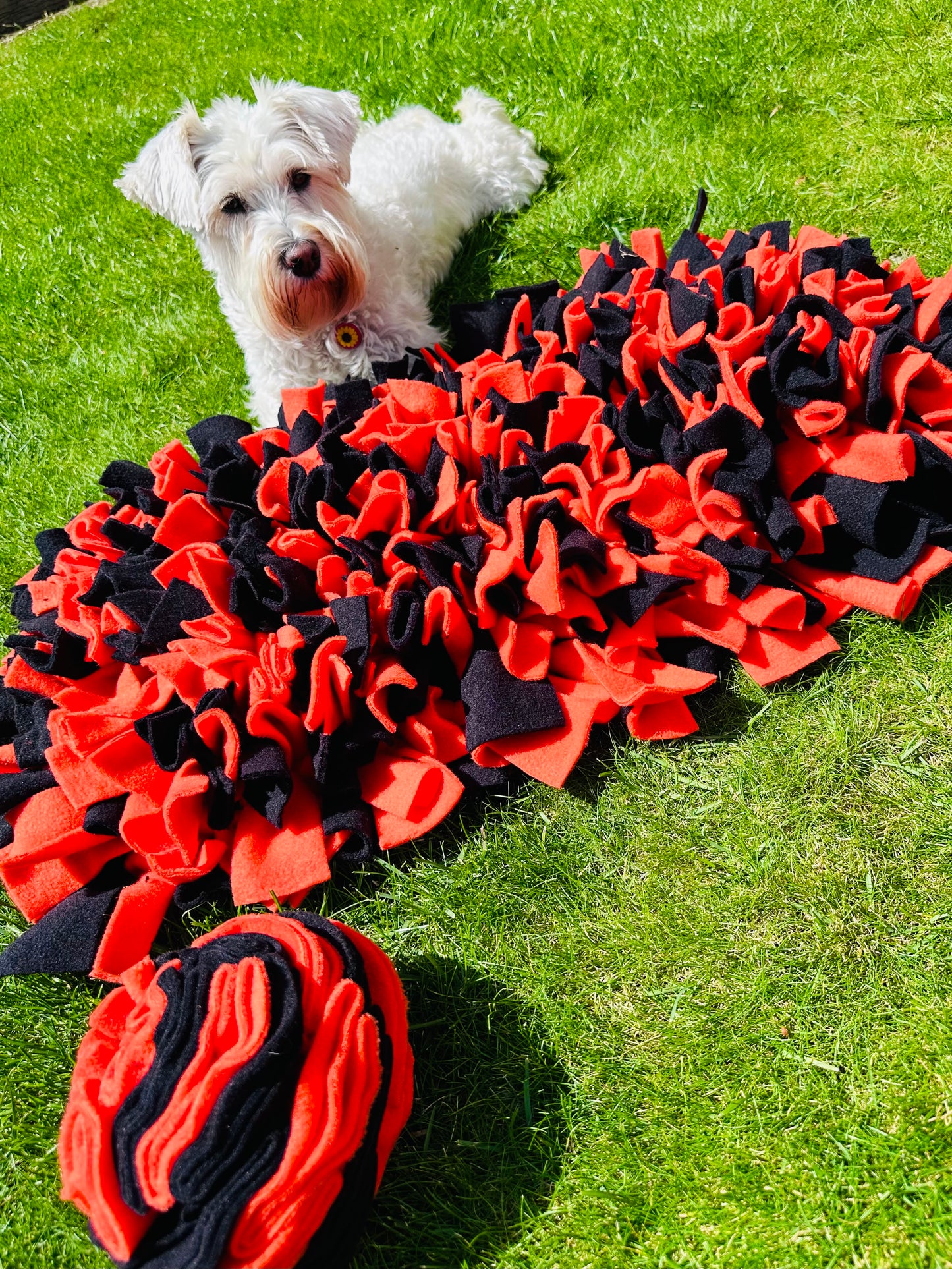 Schnauzerfest Snuffle Mat & Snuffle Ball Set, 4 size options available. (15% of this order will be donated to the Schnauzerfest charity)