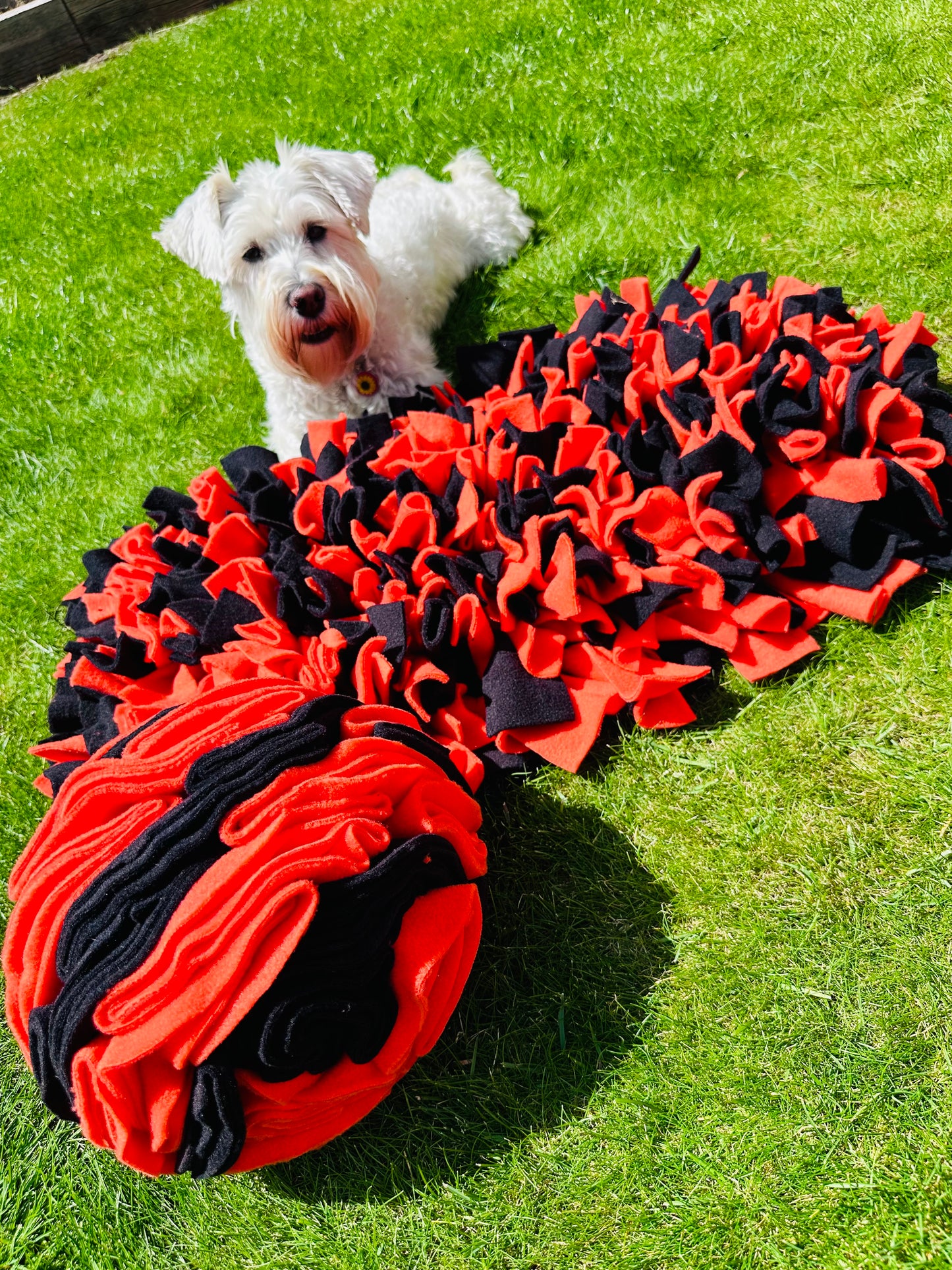 Schnauzerfest Snuffle Mat & Snuffle Ball Set, 4 size options available. (15% of this order will be donated to the Schnauzerfest charity)