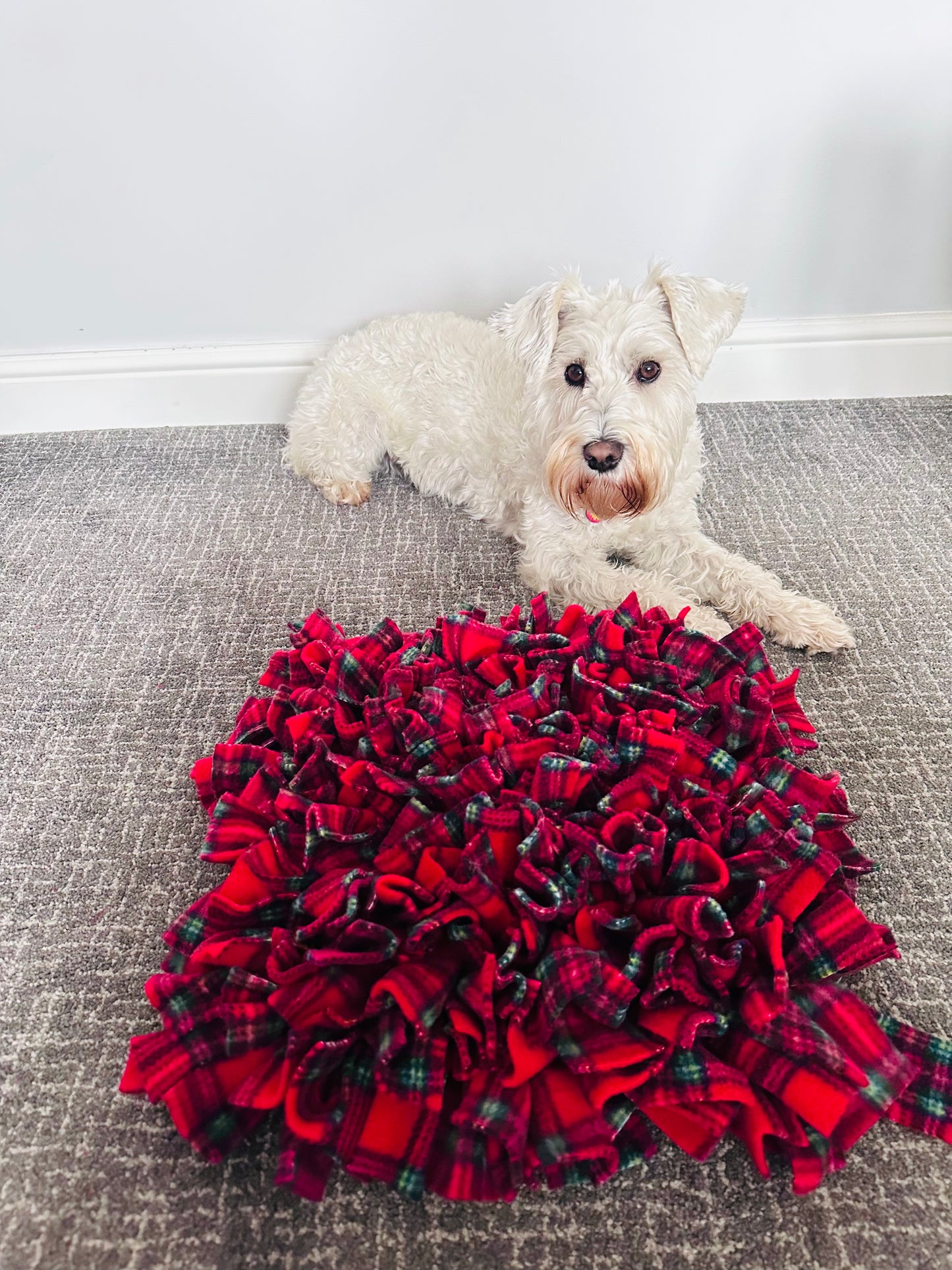 Christmas Snuffle Mats 2 Sizes Available (Free Postage)