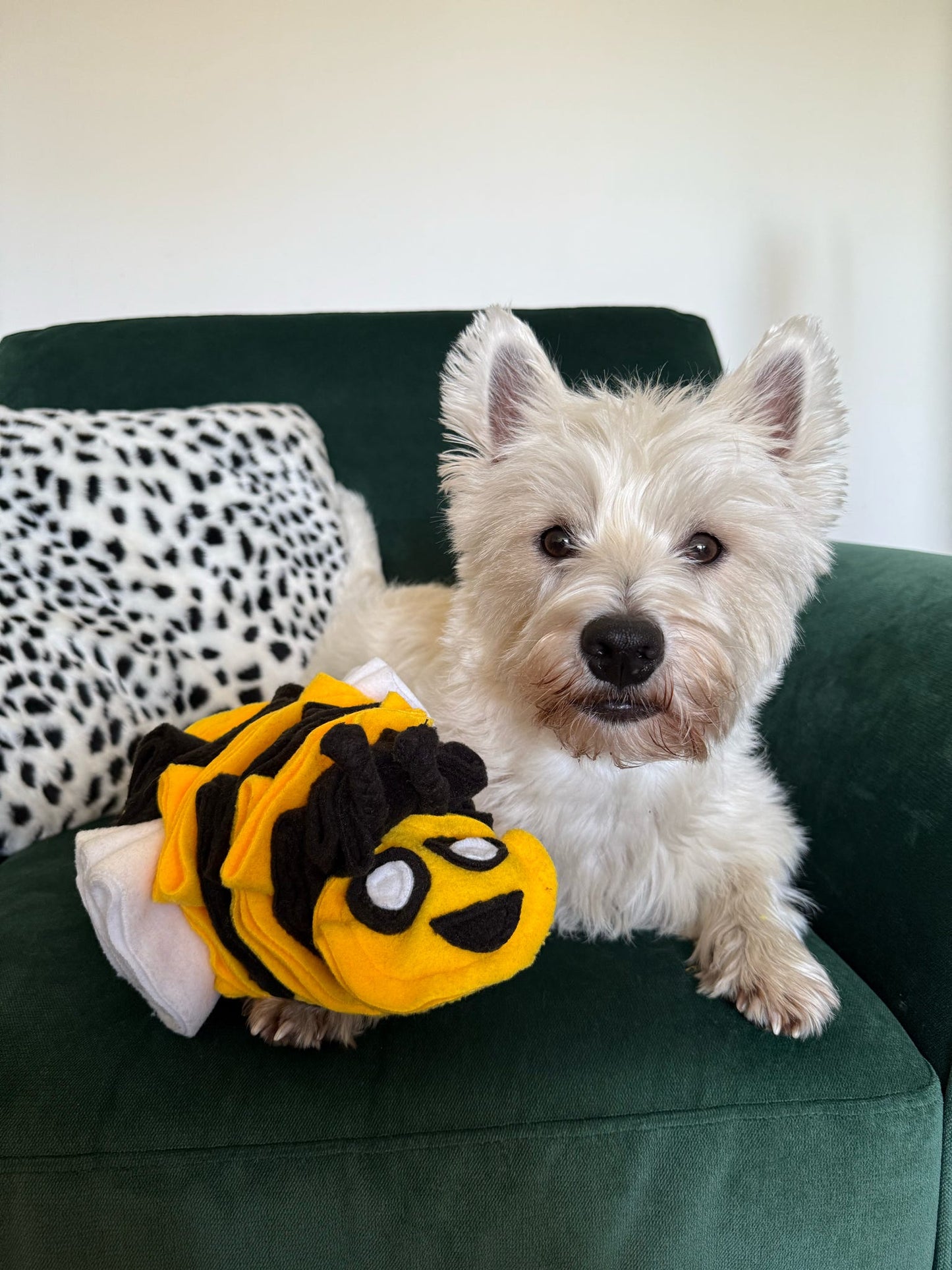 Bumble Buzzle Available In 2 Sizes (Free Postage)
