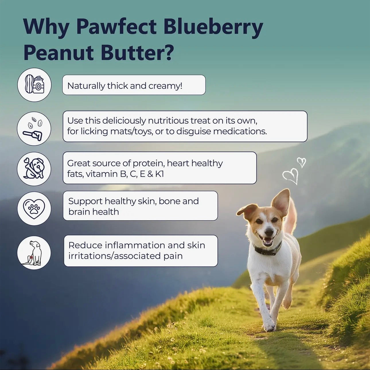 Peanut Butter With Blueberries & Hemp Seeds