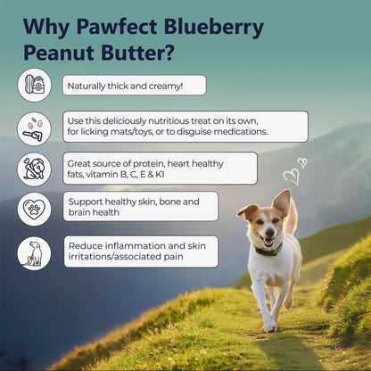 Peanut Butter With Blueberries & Hemp Seeds