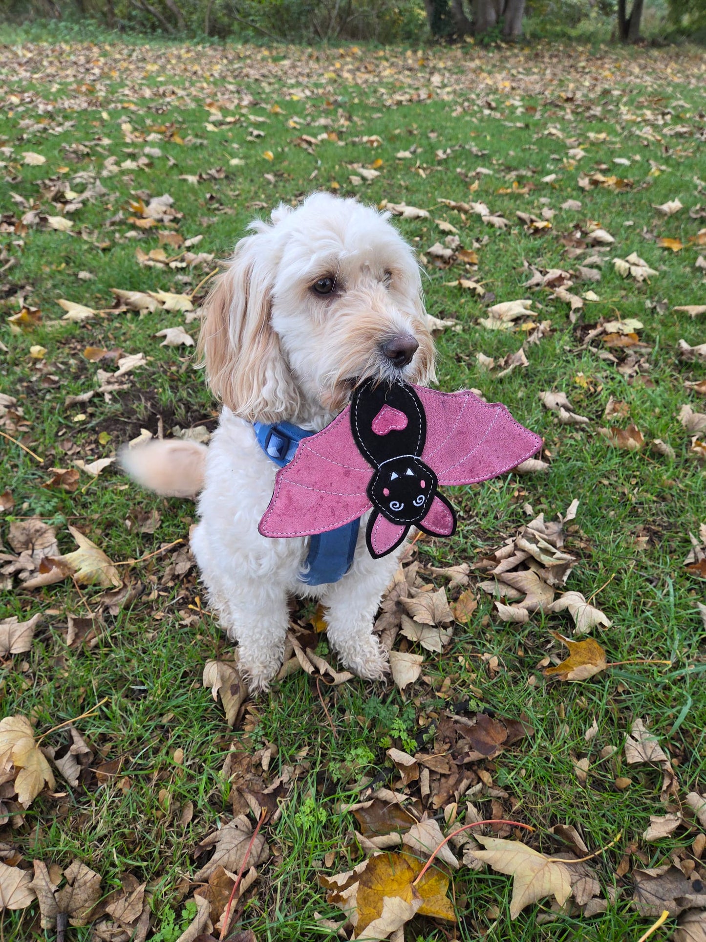 Nora Batty (Free Postage)