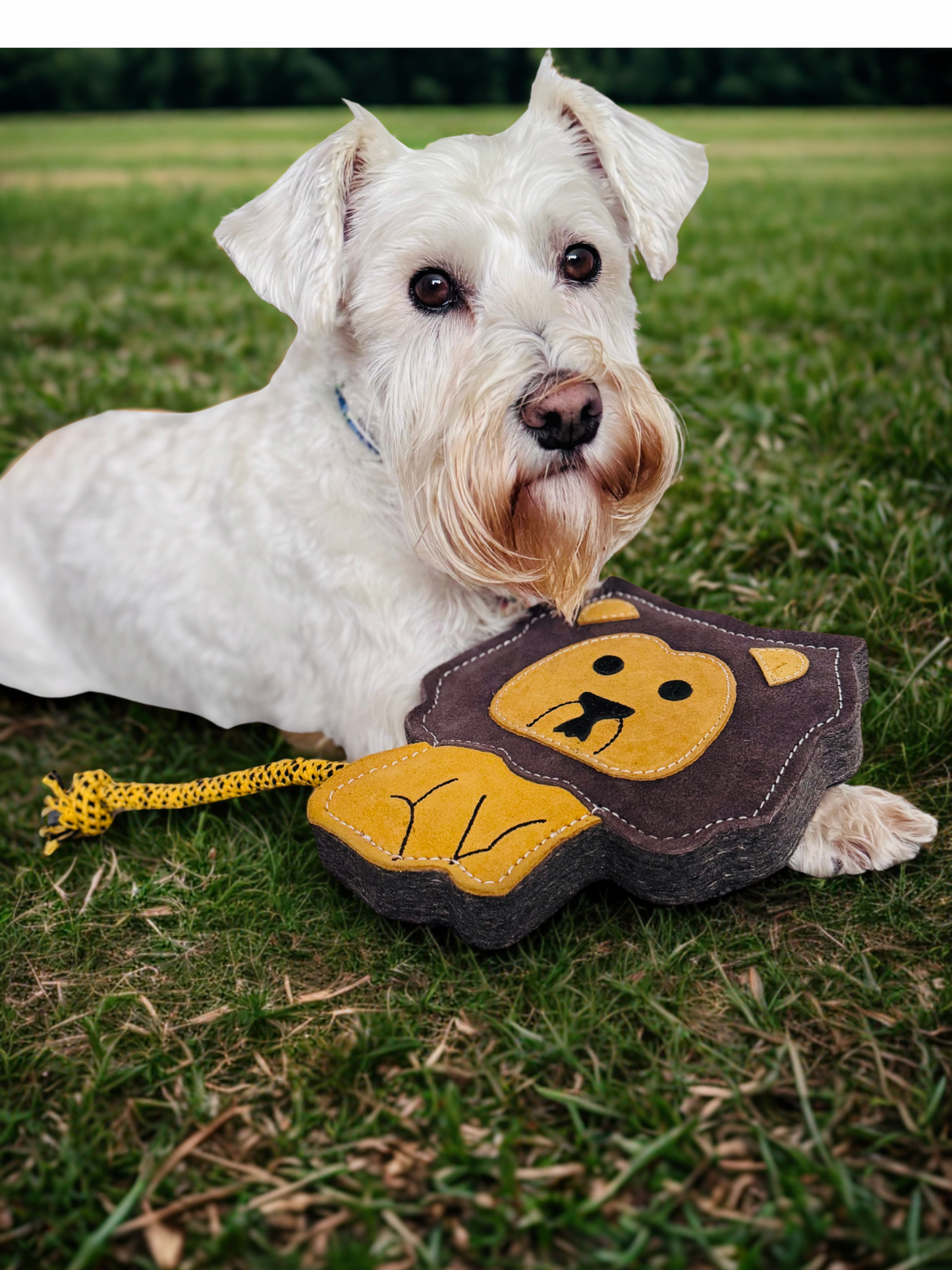 Howard The Lion (Free Postage)