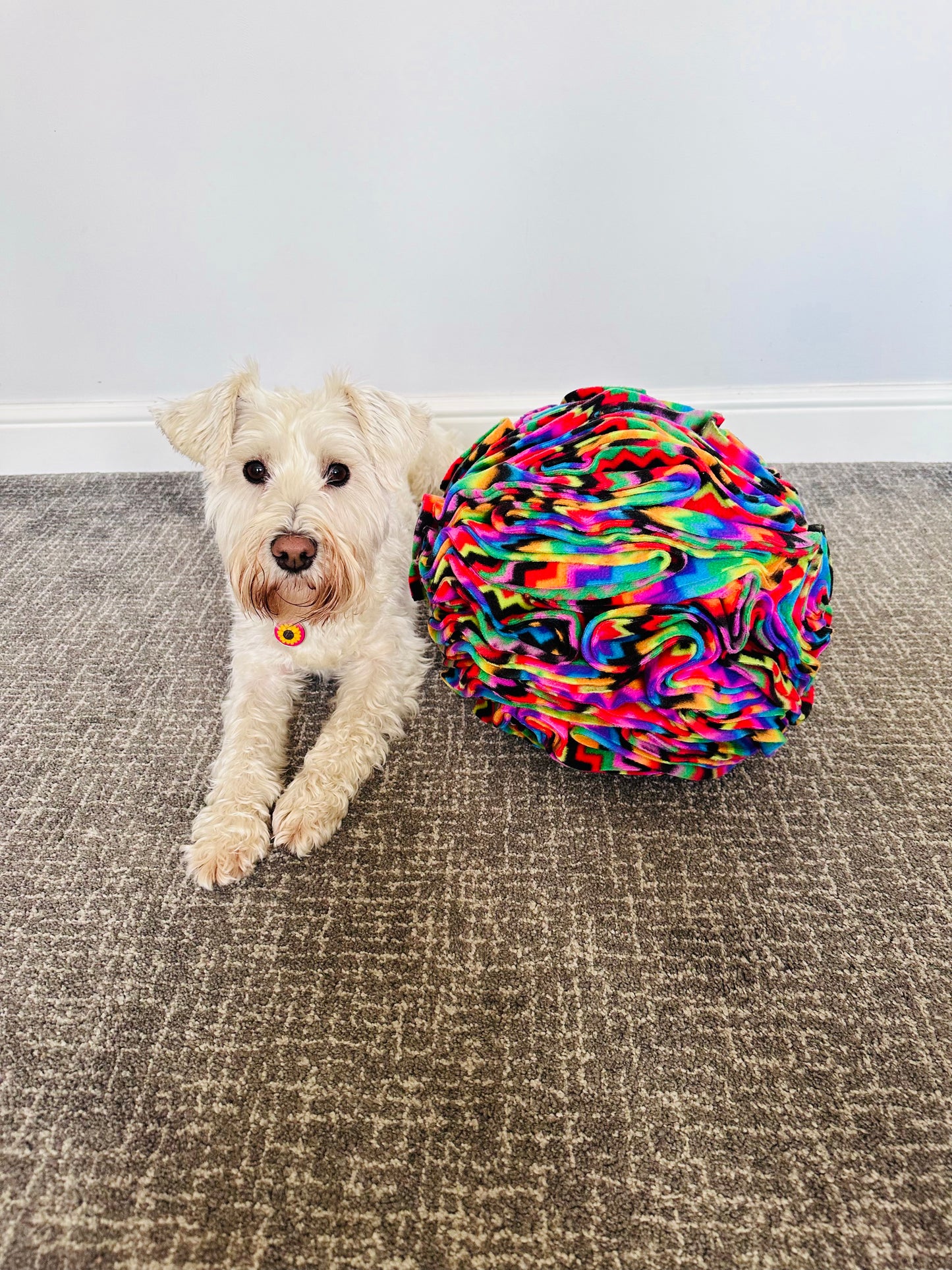 Extra Large Snuffle Ball (Free Postage)