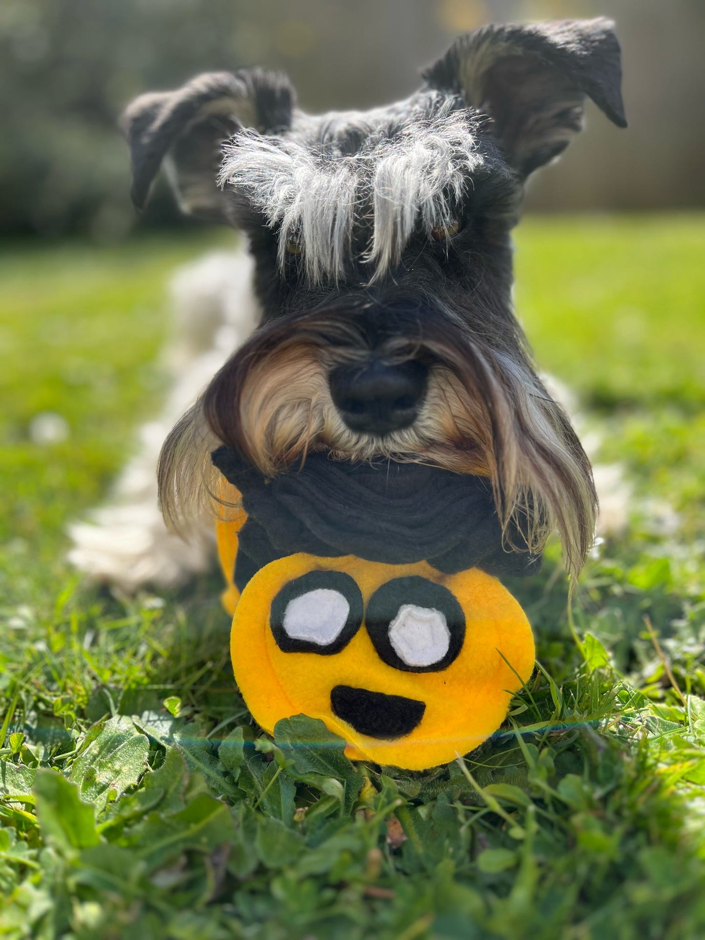 Bumble Buzzle Available In 2 Sizes (Free Postage)