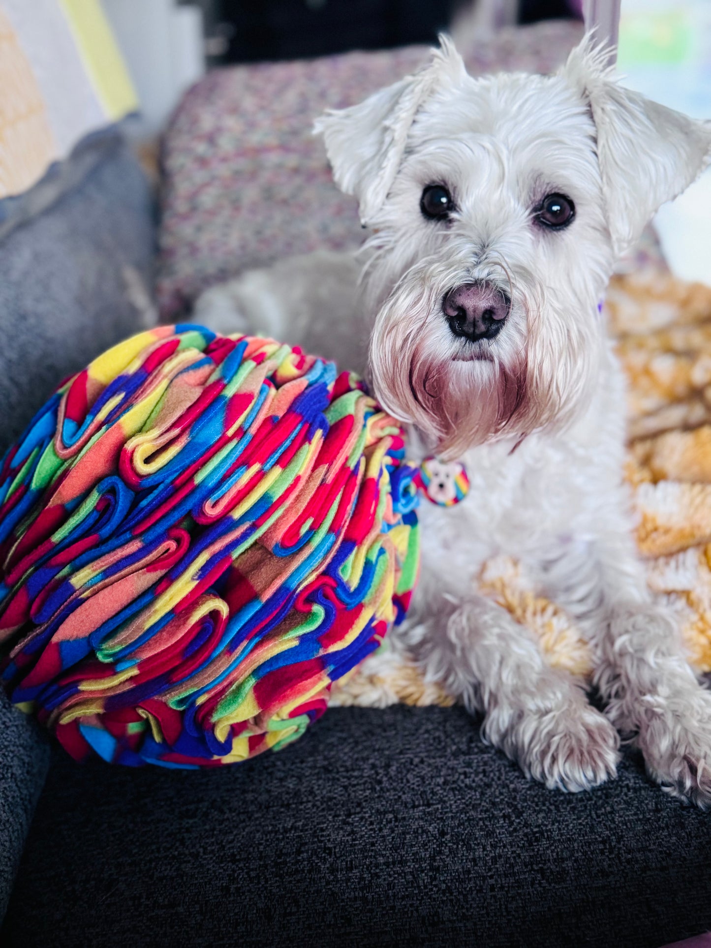 Large Snuffle Ball (Free Postage)