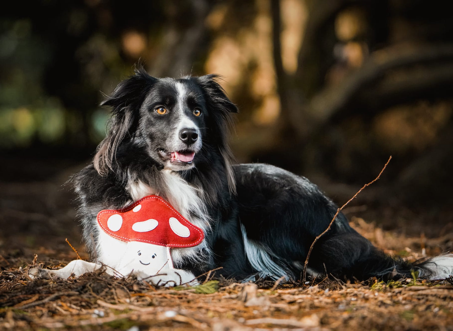 Marie Mushroom(Free Postage)