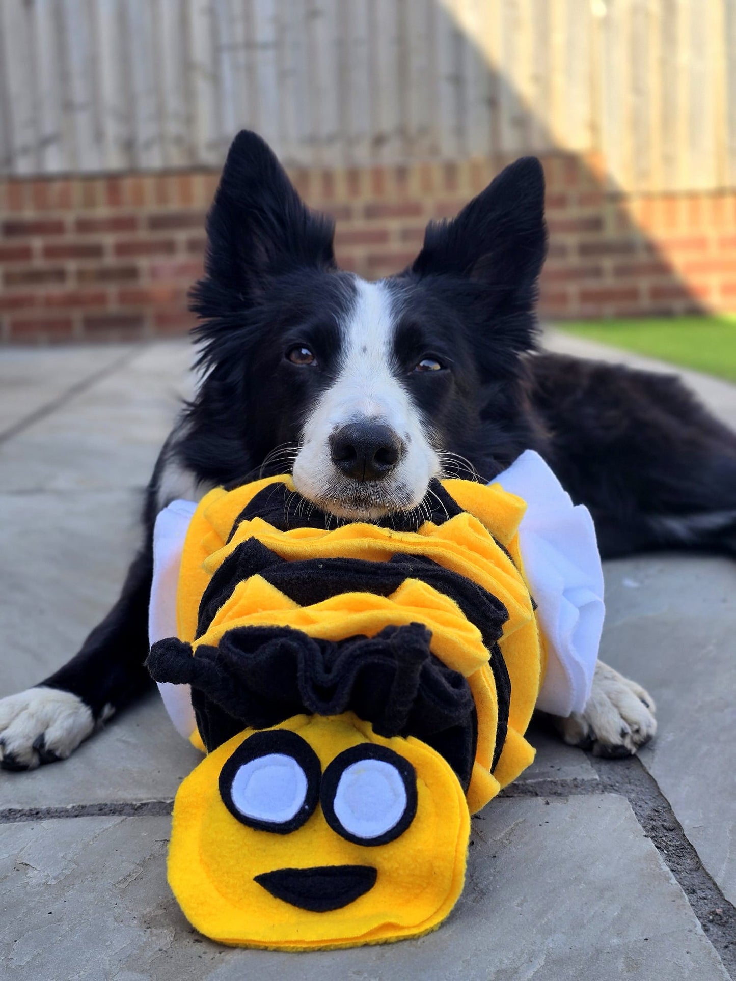Bumble Buzzle Available In 2 Sizes (Free Postage)