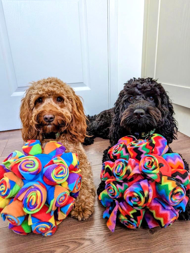 Rainbow Snuffle Ball - Canine Crazies