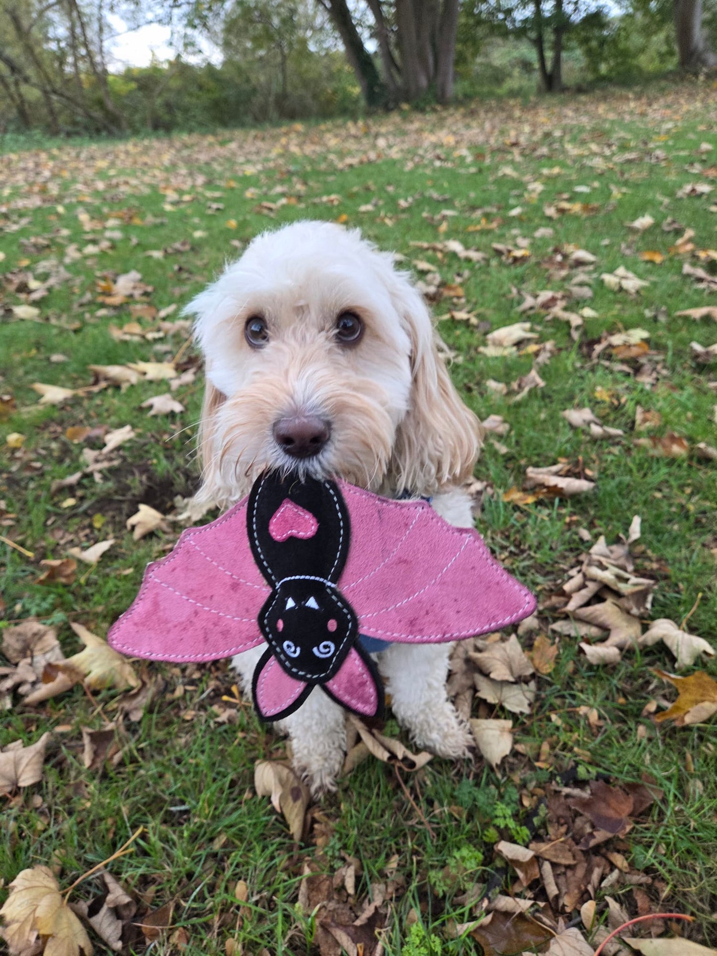 Nora Batty (Free Postage)