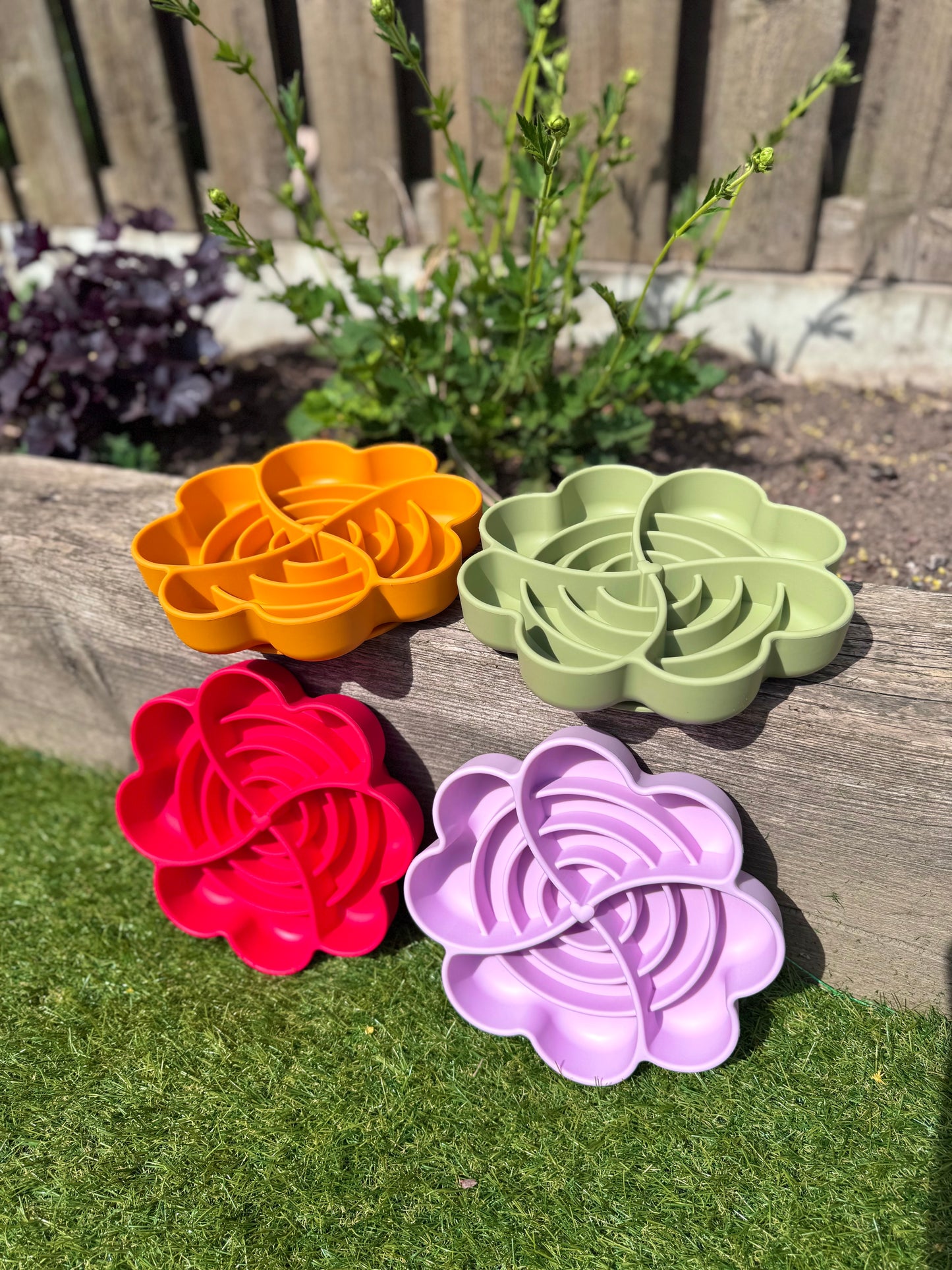 Spiral Bloom Enrichment Bowl (Free Postage)