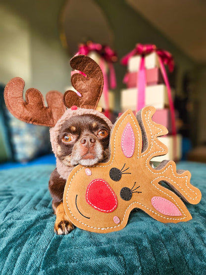 Rudy the Reindeer (Free Postage)