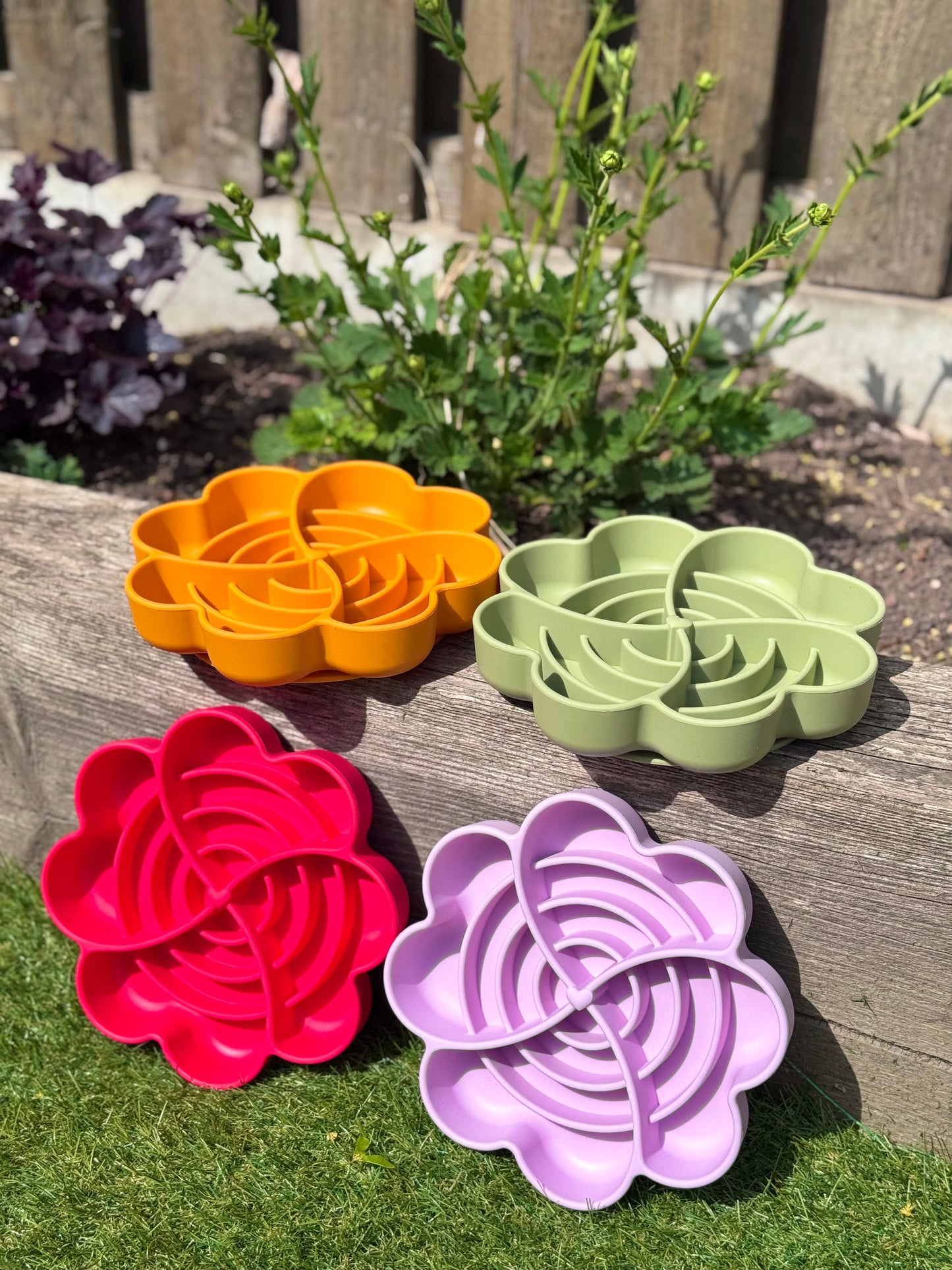 Spiral Bloom Enrichment Bowl (Free Postage)