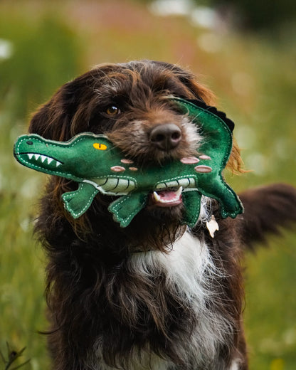 Clive The Crocodile