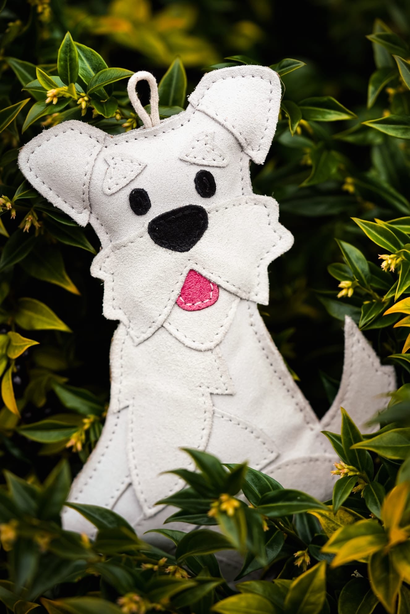 The Schnauzer Collection