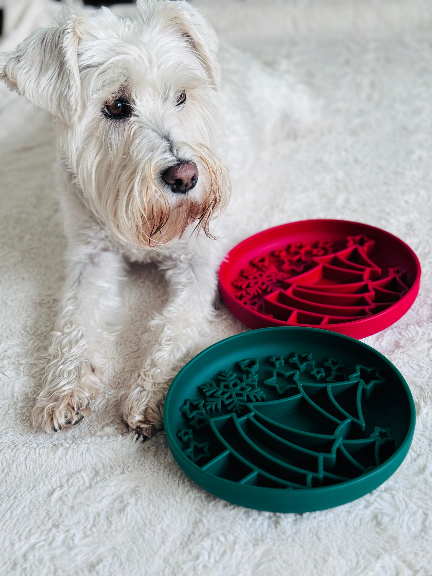 Christmas Tree Enrichment Bowl (Free Postage)