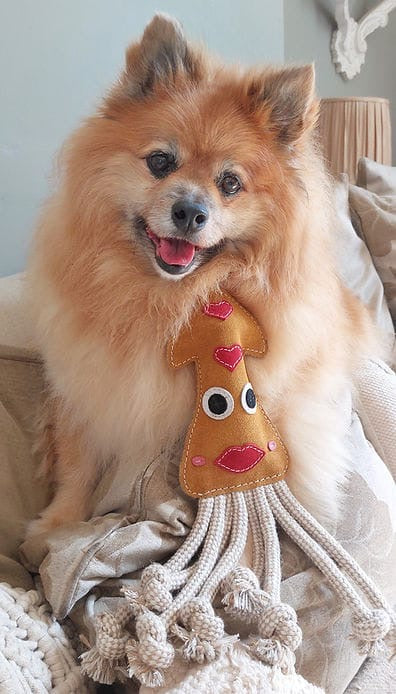 Karen The Squid (Free Postage)