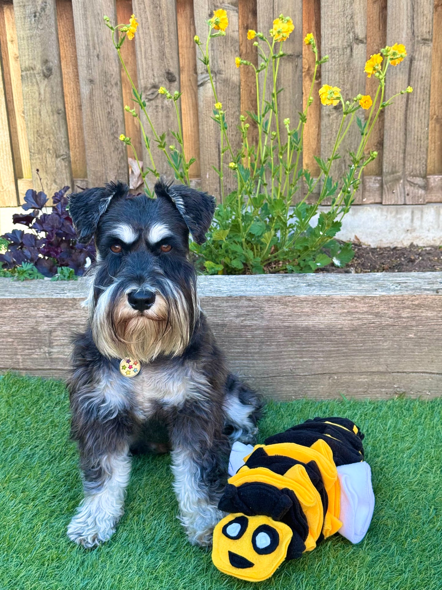 Bumble Buzzle Available In 2 Sizes (Free Postage)