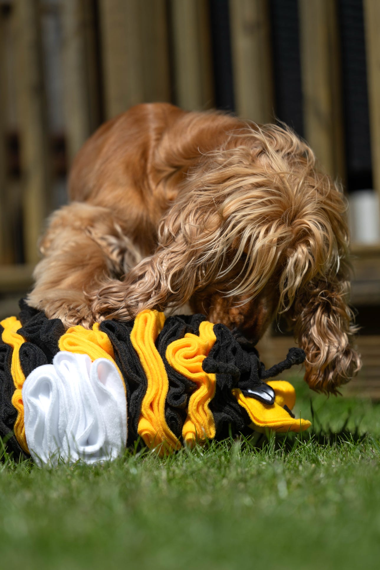 Bumble Buzzle Available In 2 Sizes (Free Postage)
