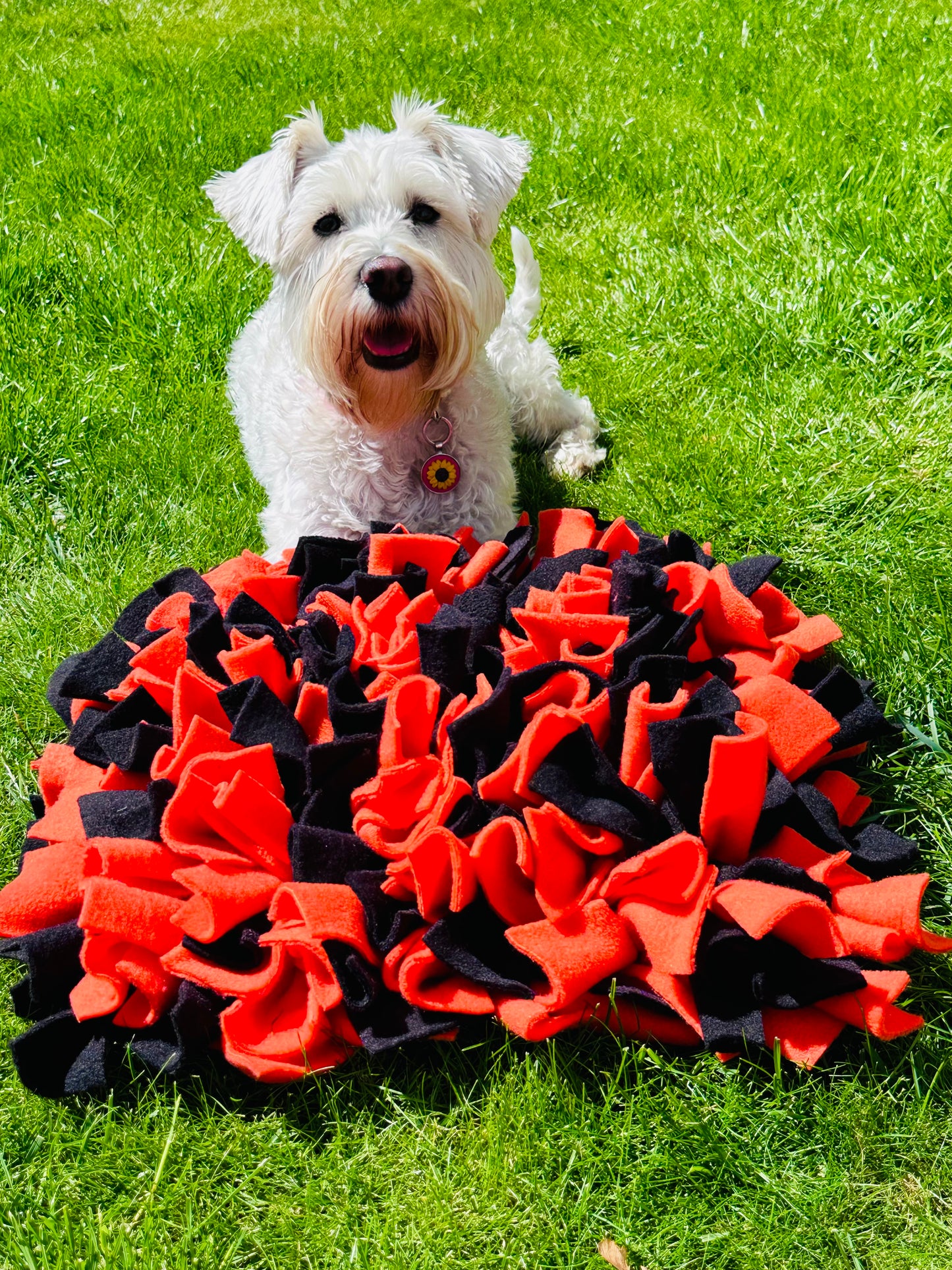 Schnauzerfest Snuffle Mat, Available in 3 sizes  (15% of this order will be donated to the Schnauzerfest charity)