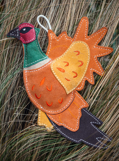 Bracken The Pheasant